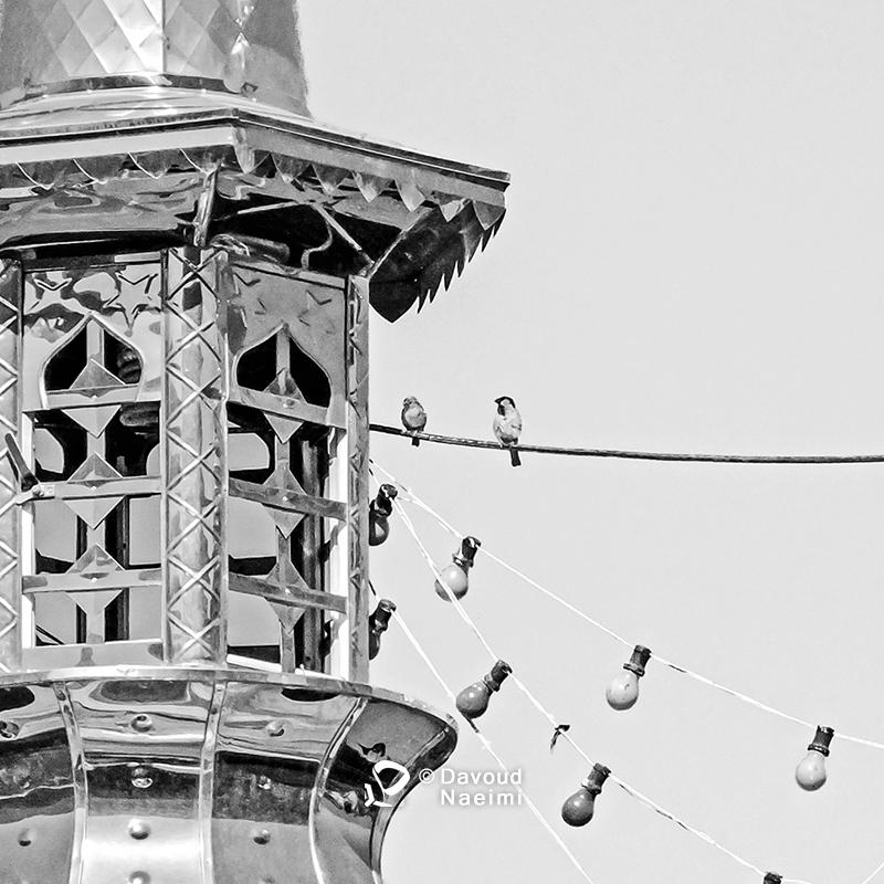 داود نعیمی، عکاس پرتره، عکاس تهران، عکاسی پرتره نقاشی گونه